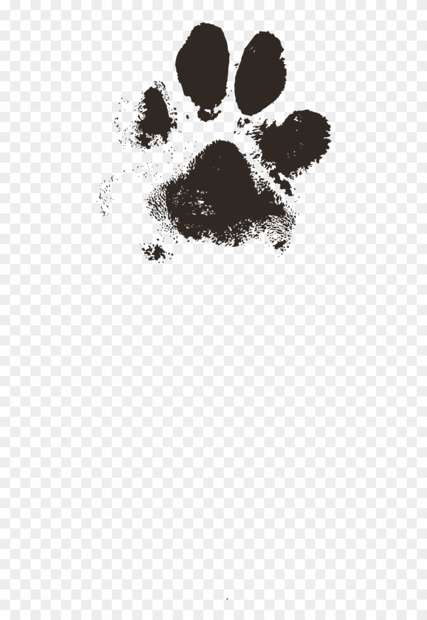 840x1220 Dog Paw Paw Print Paw Prints