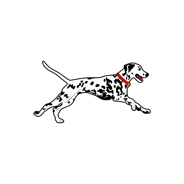 640x640 Dalmatian Dog Run Vector Illustration For Your Company Or Brand