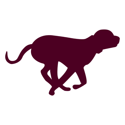 512x512 Dog Running Sequence