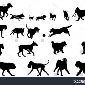 300x300 Small Dog Running Silhouette Vector Newwaysys