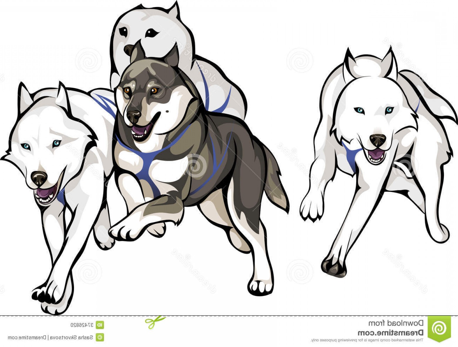 1560x1182 Stock Photo Sled Dogs Run Vector Drawing Running Image Newwaysys