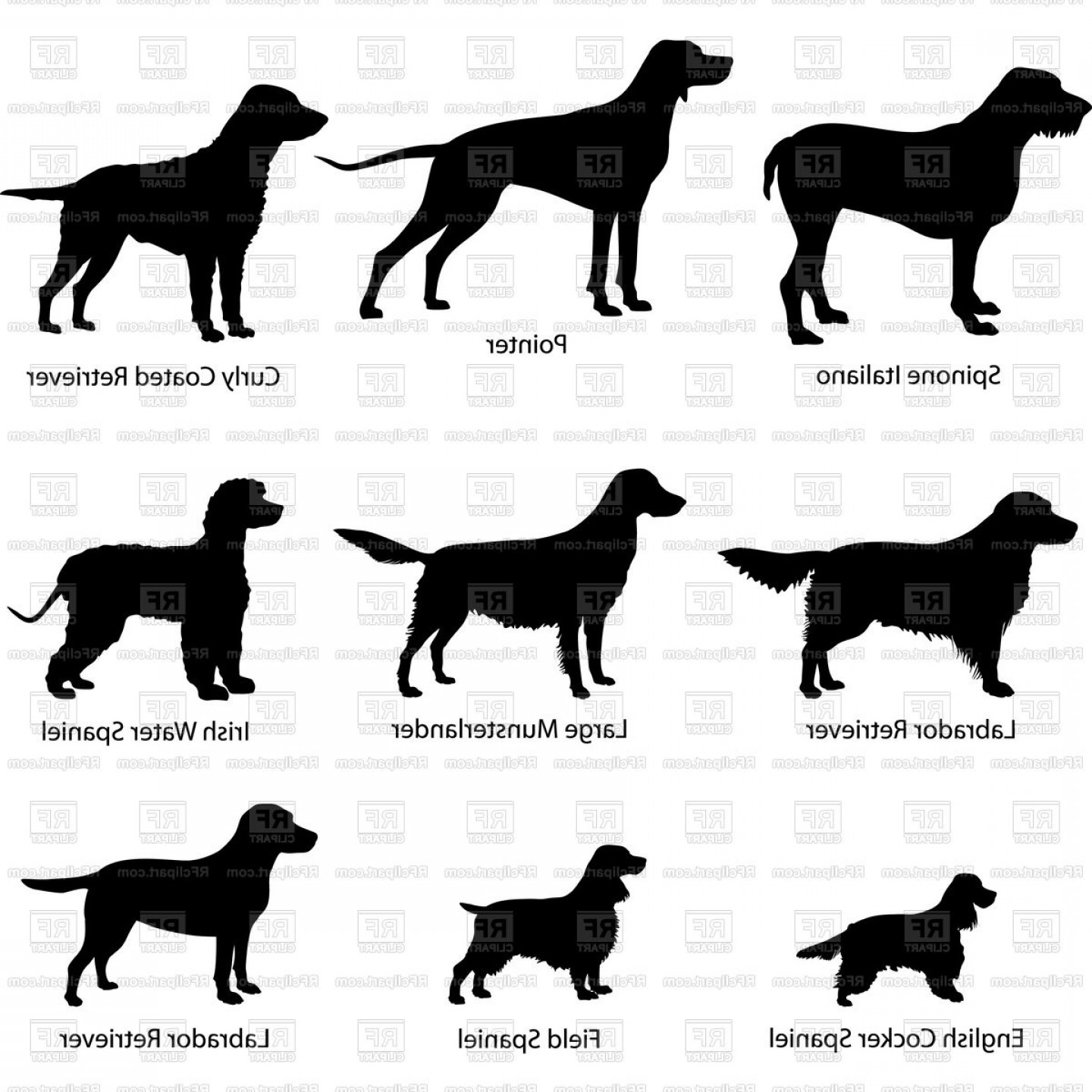 1440x1440 Dog Silhouette Set Vector Clipart Newwaysys