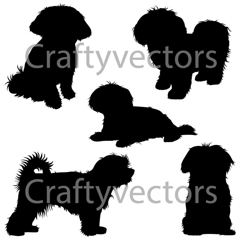 794x794 Maltese Dog Silhouettes Vector Etsy