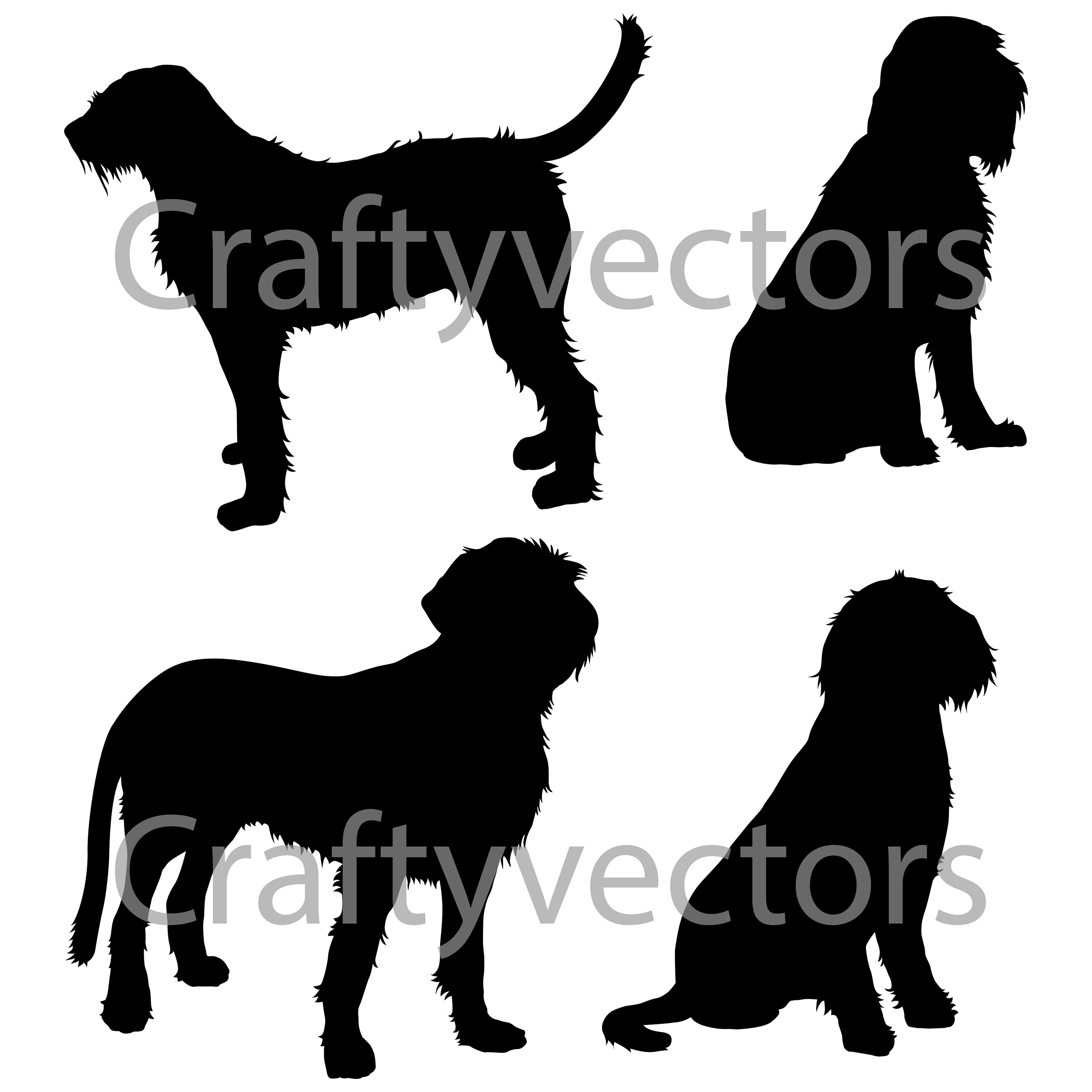 3000x3000 Spinone Italiano Dog Silhouettes Vector File Etsy