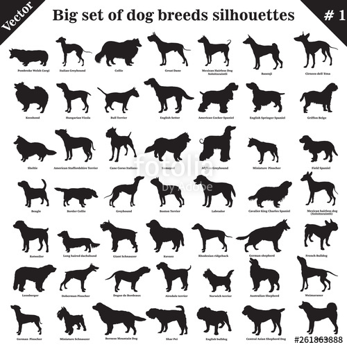 500x500 Vector Dogs Silhouettes Stock Image And Royalty Free Vector