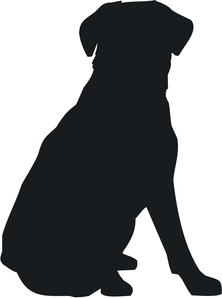 746x1000 Dog Sitting Clipart Look At Clip Art Images