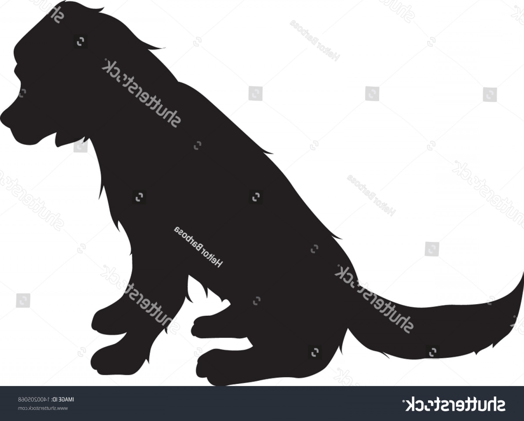 1800x1444 Dog Sitting Vector Lamaison