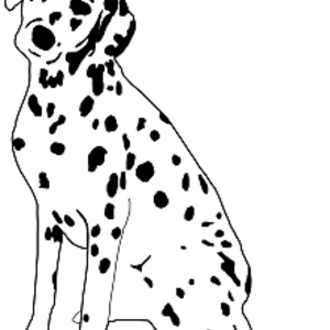 300x300 Free Vectors Dalmatian Dog Sitting Maja