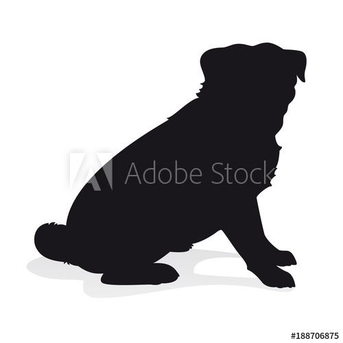 500x500 Pug Dog Sitting