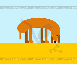 300x248 Dog Looking Bone Home Pet And Part Skeleton