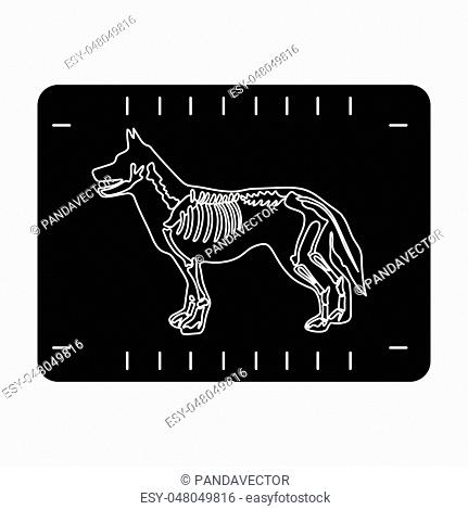 431x470 Dog Skeleton Veterinary Vector Illustration Stock Photos