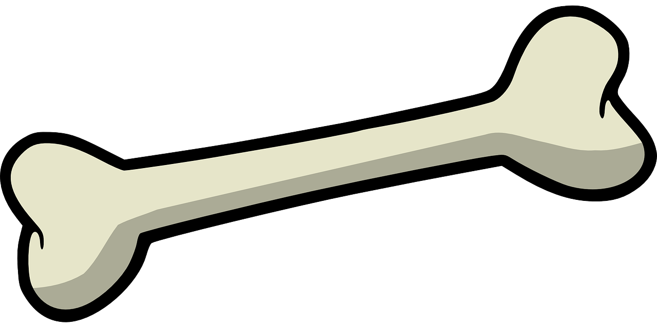 1280x640 Bone,dog,skeleton,free Vector Graphics,free Pictures