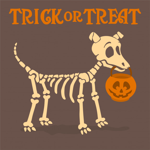 626x626 Dog Skeleton With Pumpkin Vector Premium Download