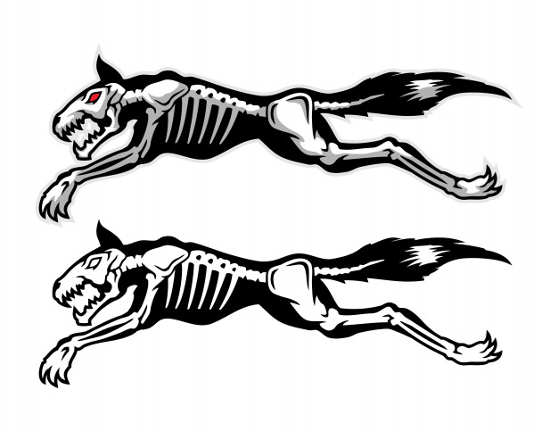 626x483 Jumping Dog Skeleton Vector Premium Download