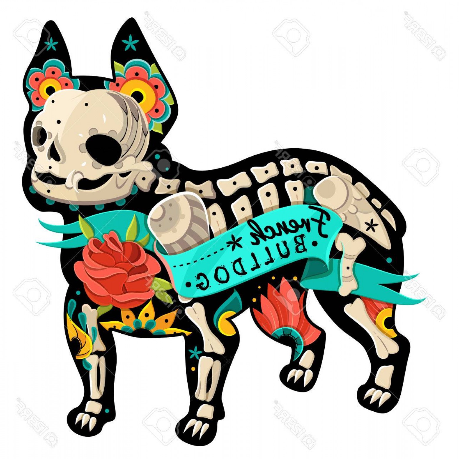1558x1560 Photostock Vector Stylized Skeleton French Bulldog Vector French
