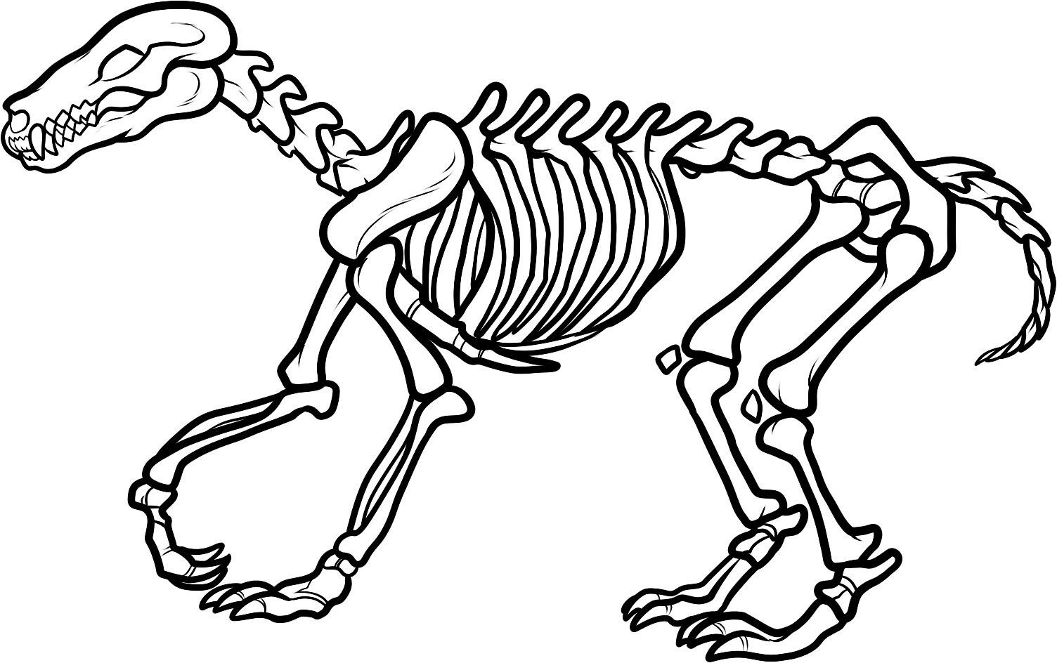 1504x944 Bone Clipart Fossil For Free Download And Use Images