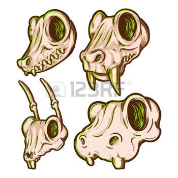 350x350 Dog Skeleton Cartoon Animal Skull Set Illustration Design