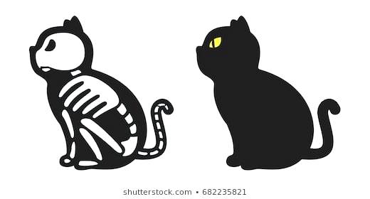 520x280 Dog Skeletons Foodflash