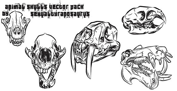 Dog Skull Vector