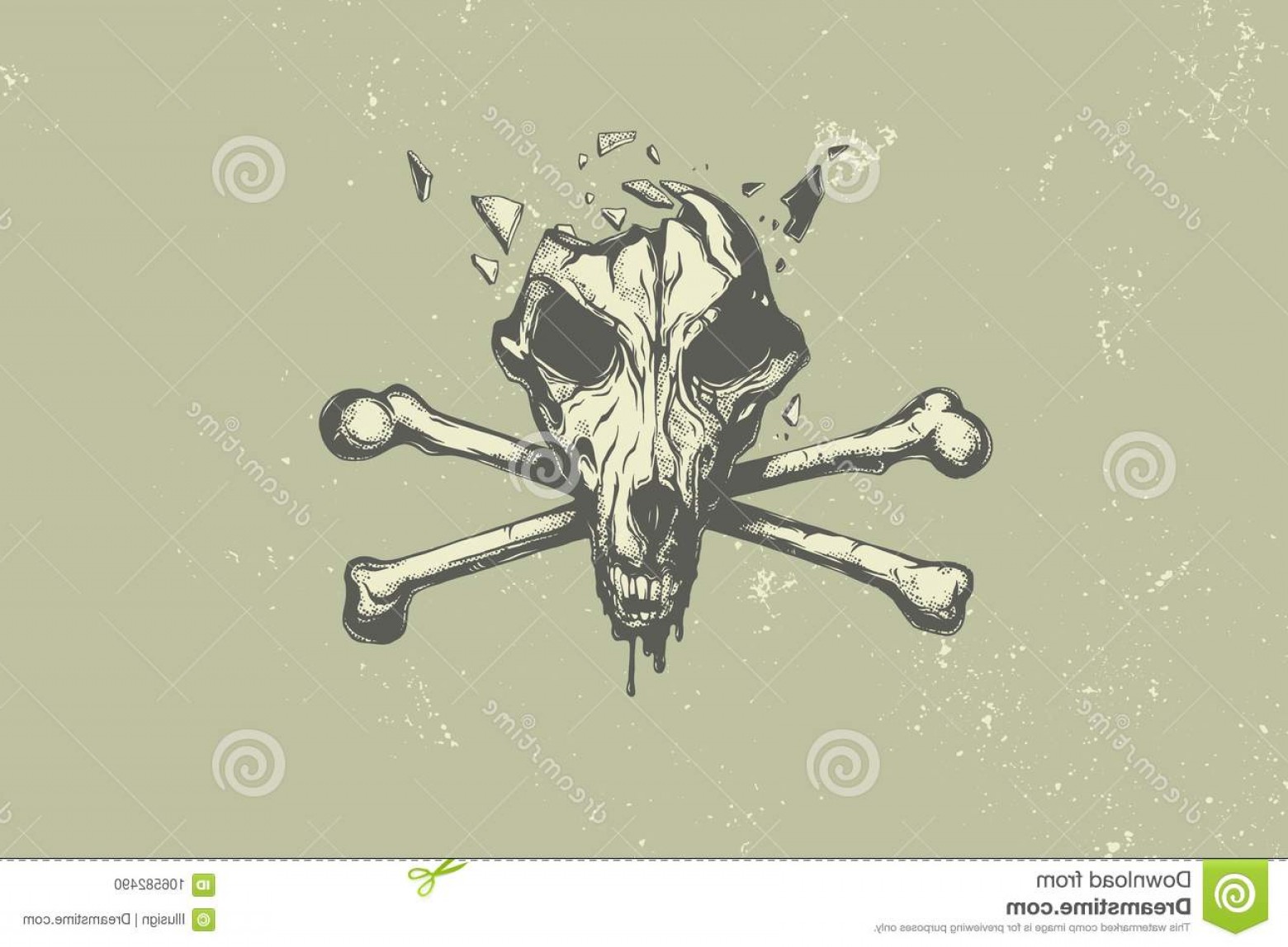 1560x1148 Dog Skull Crossbones Vector Illustration Image Studiogrfx
