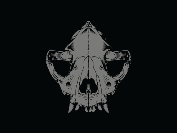 600x450 Dog Skull Free Vector In Encapsulated Postscript