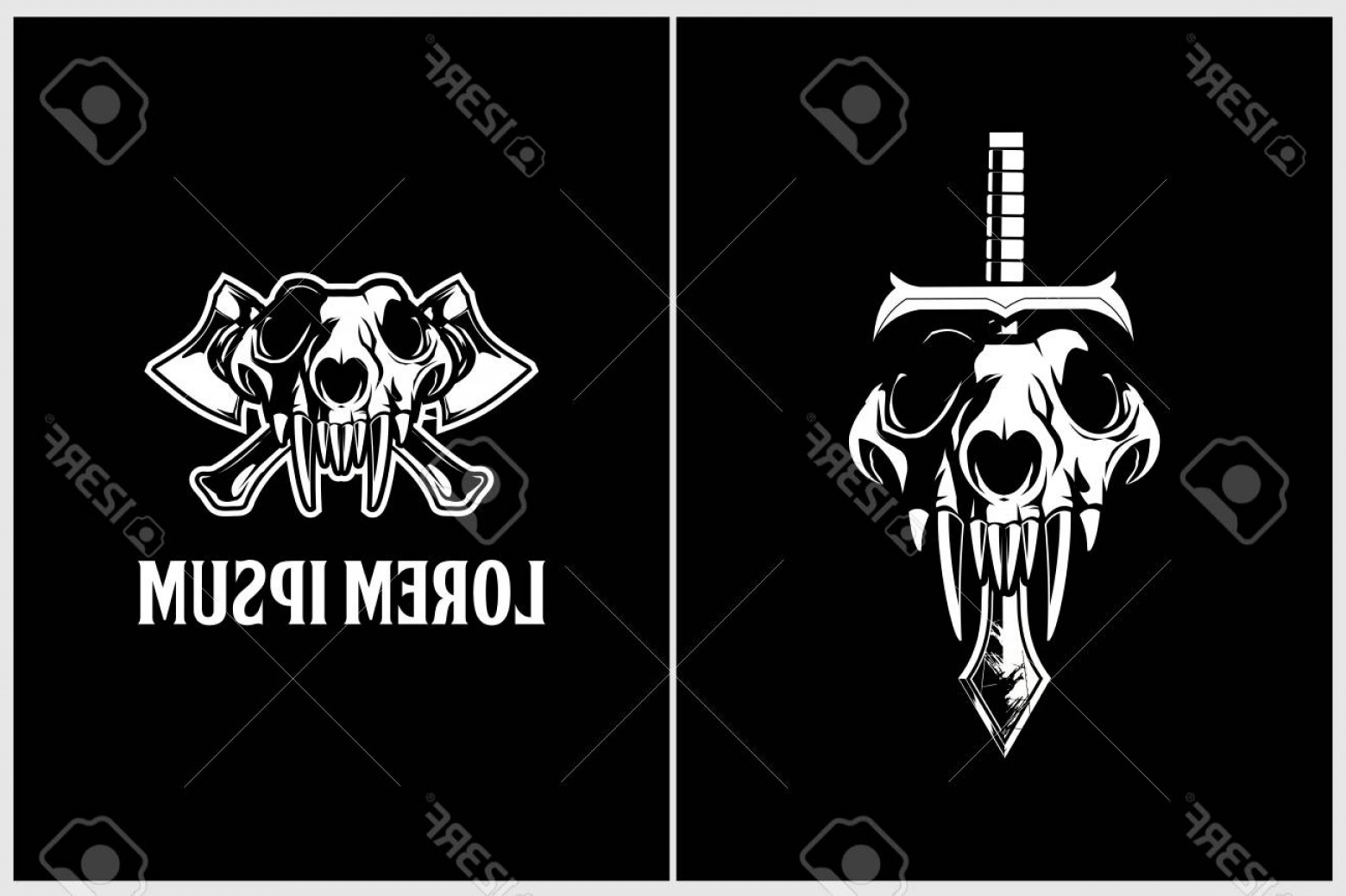 1560x1039 Dog Skull Vector Studiogrfx