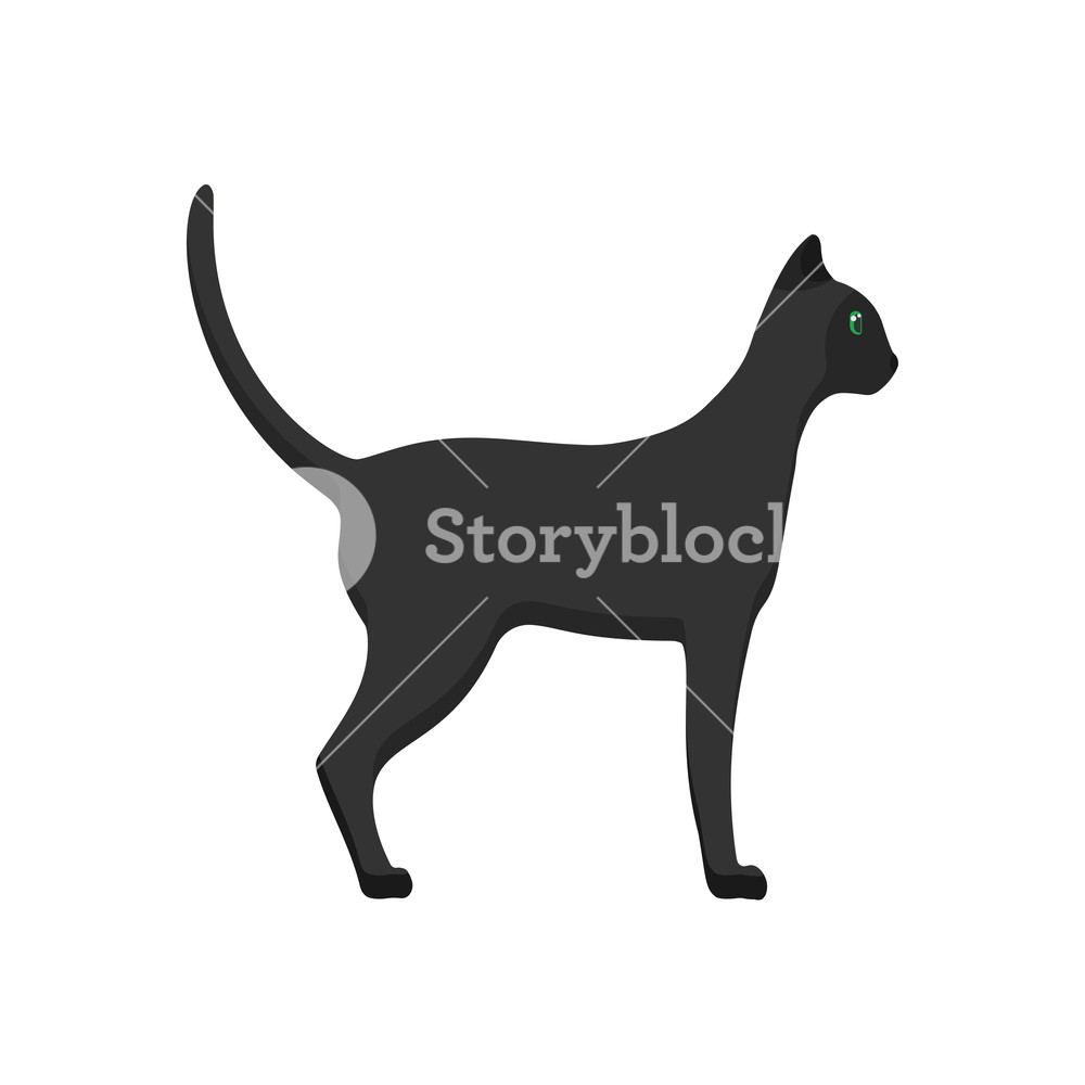 1000x1000 Cat Side View Vector Icon Animal Cartoon Illustration Black Pet