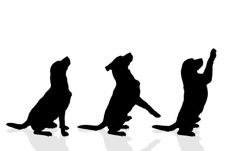 Dog Tail Vector at Vectorified.com | Collection of Dog Tail Vector free