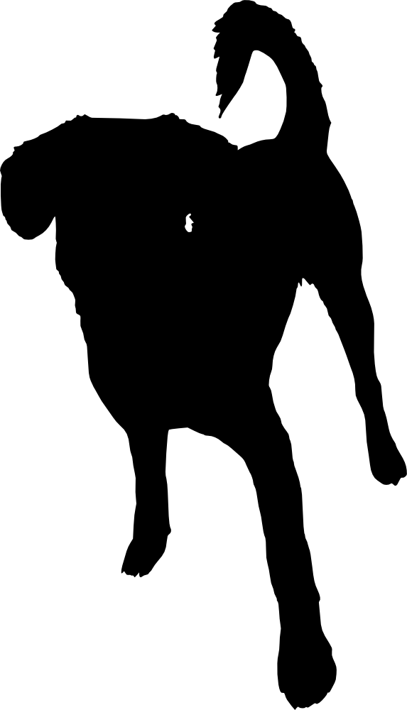 573x1000 Collection Of 'dog Tail Silhouette' Download More Than Images