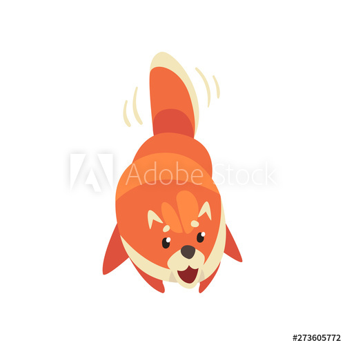 500x500 Cute Pomeranian Spitz Wagging His Tail, Funny Pet Dog Cartoon