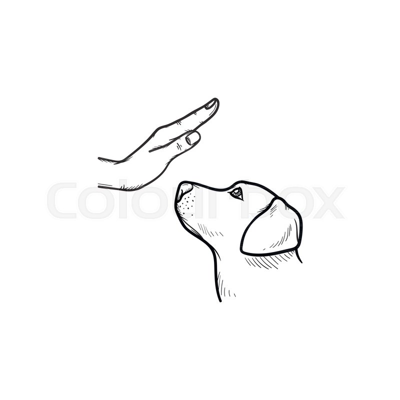 Dog Training Hand Drawn Outline Doodle Stock Vector Colourbox 800x800 Dog Training Hand Drawn Outline Doodle Stock Vector Colourbox