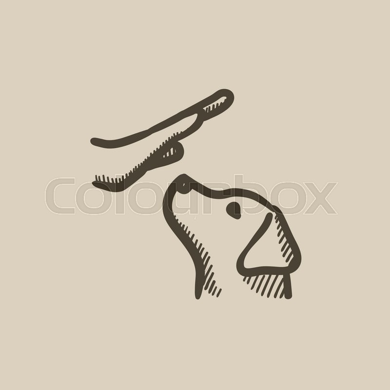 Dog Training Vector Sketch Icon Stock Vector Colourbox 800x800 Dog Training Vector Sketch Icon Stock Vector Colourbox