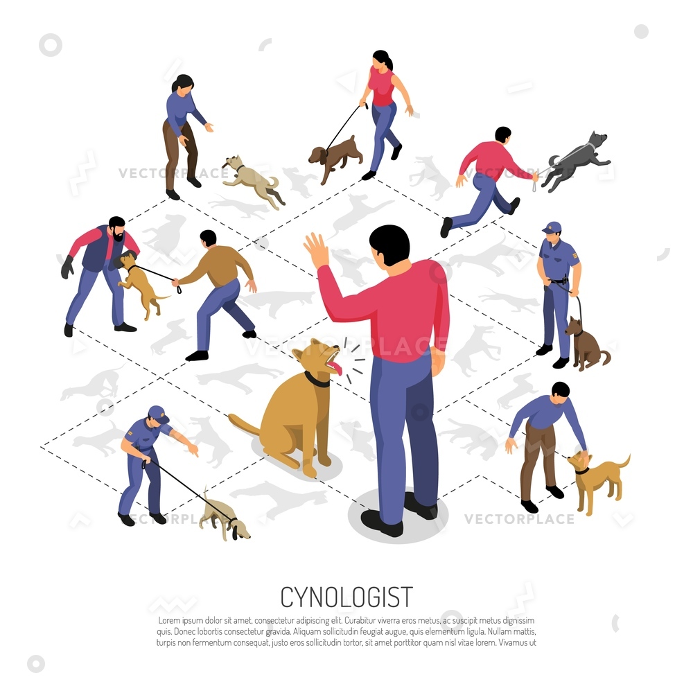 Cynologyst Dog Training Isometric Infographic Composition Vector 1000x1000 Cynologyst Dog Training Isometric Infographic Composition Vector