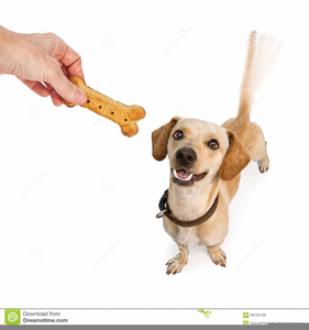 281x300 Dog Treat Clipart Free Images