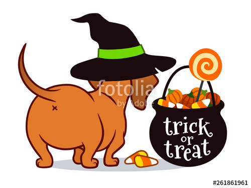 500x375 Halloween Dachshund Puppy Dog, In Witch's Hat With Black Trick