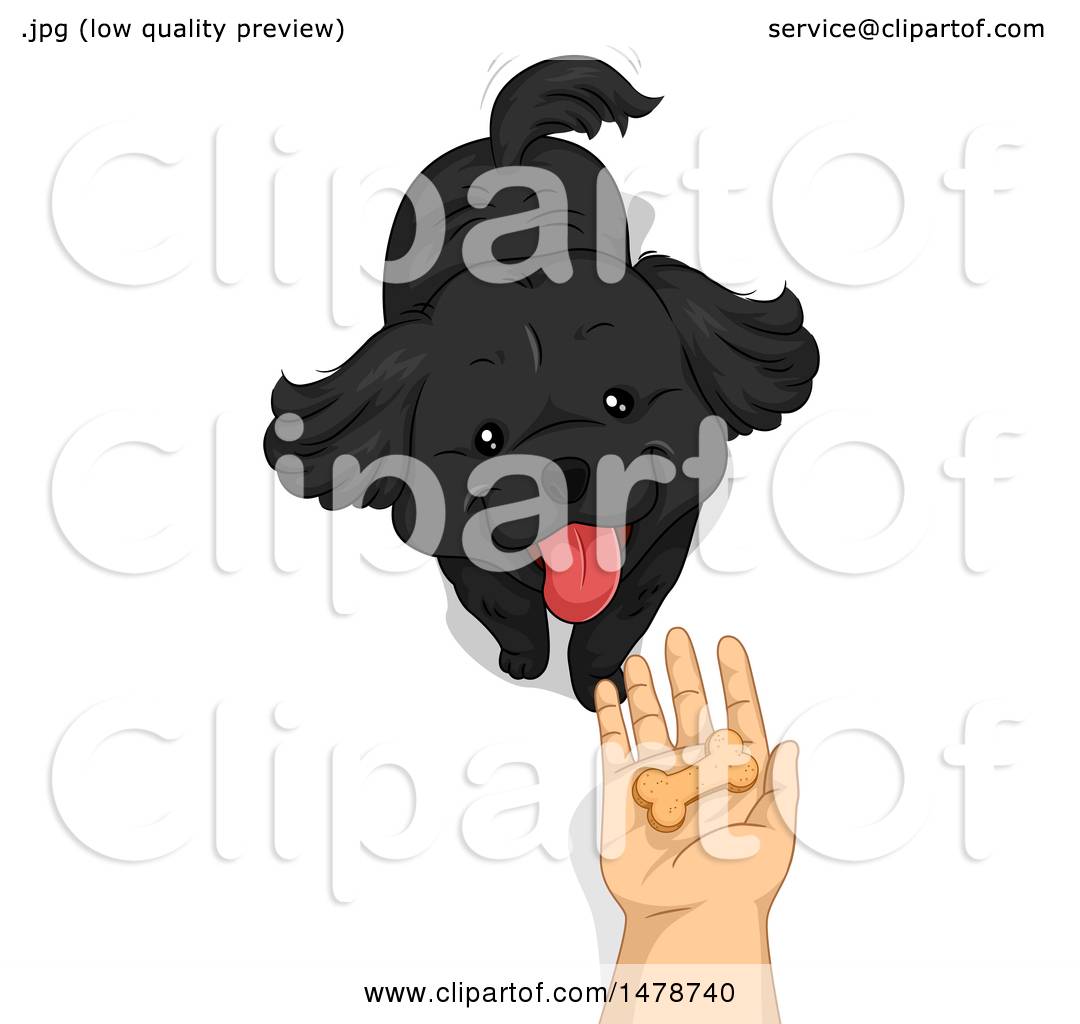 1080x1024 Clipart Of A Hand Holding Out A Dog Treat