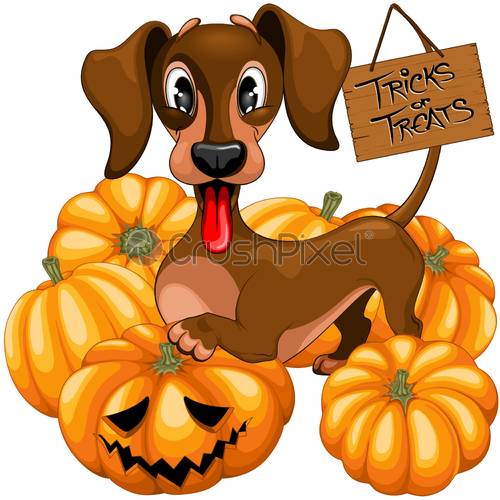 500x500 Halloween Dachshund Tricks Or Treats Cute Cartoon Character Vector