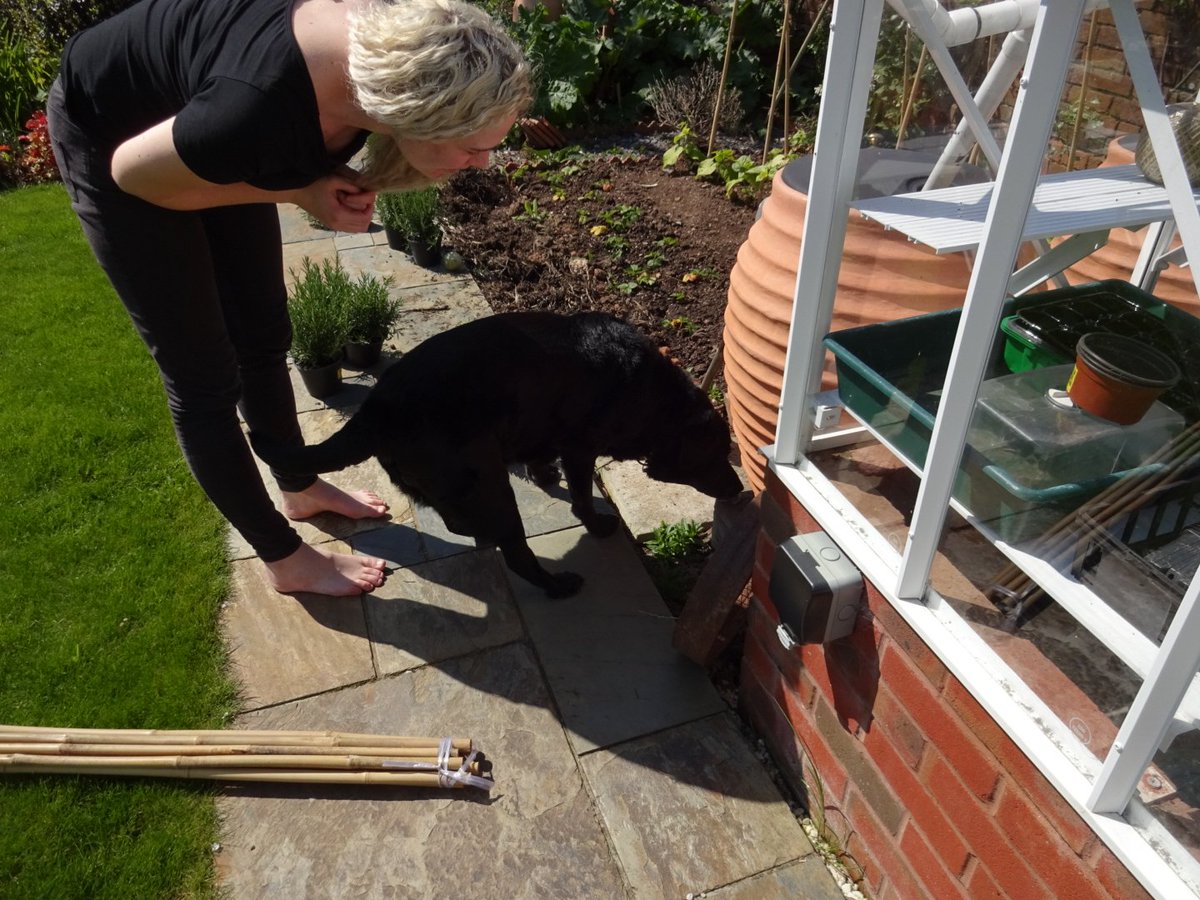 1200x900 Soph Feral On Twitter I Made A Very Simple Easter