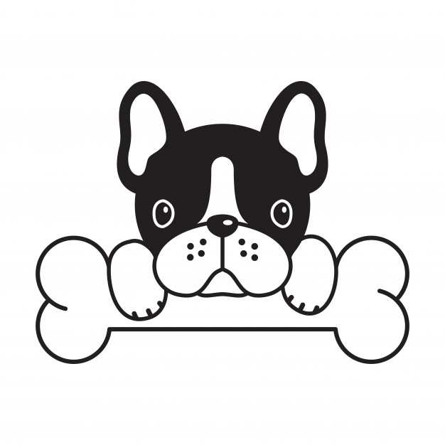 Dog Vector French Bulldog Bone Puppy Cartoon Vector Premium Download 626x626 Dog Vector French Bulldog Bone Puppy Cartoon Vector Premium Download