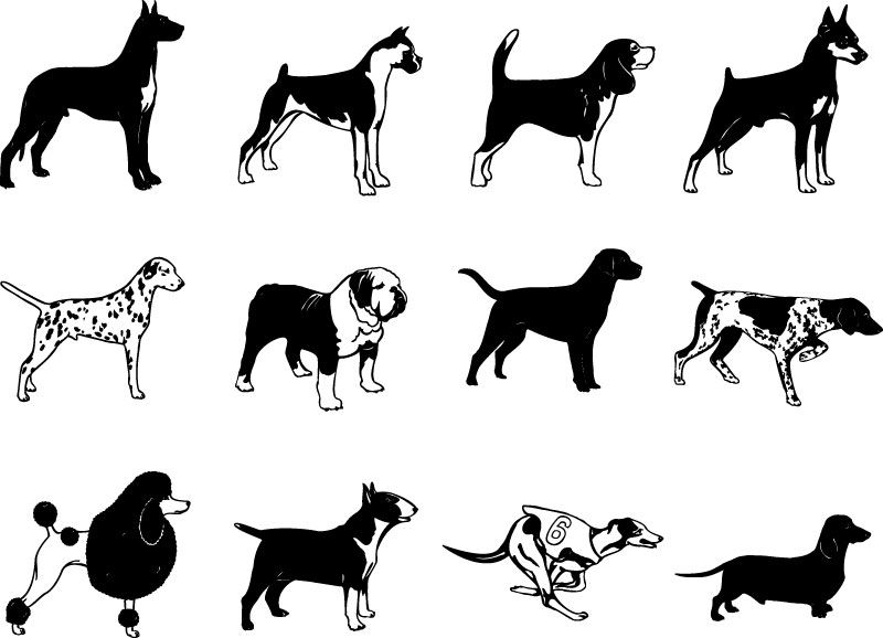 Free Vector Dogs 800x578 Free Vector Dogs
