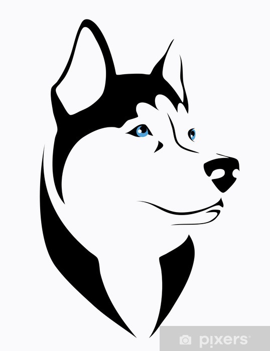 Husky Dog 538x700 Husky Dog