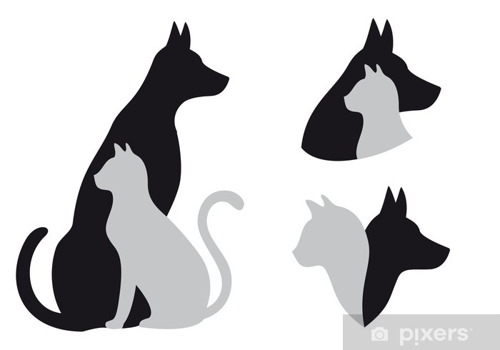 Cat And Dog, Vector Wall Mural We Live To Change 700x490 Cat And Dog, Vector Wall Mural We Live To Change