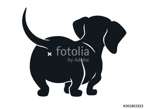 Cute Dachshund Sausage Dog Vector Cartoon Illustration Isolated 500x375 Cute Dachshund Sausage Dog Vector Cartoon Illustration Isolated