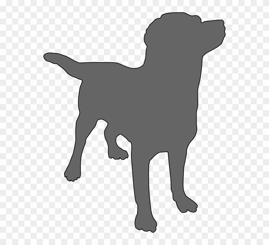 Dog Vector Cliparts Buy Clip Art 880x800 Dog Vector Cliparts Buy Clip Art