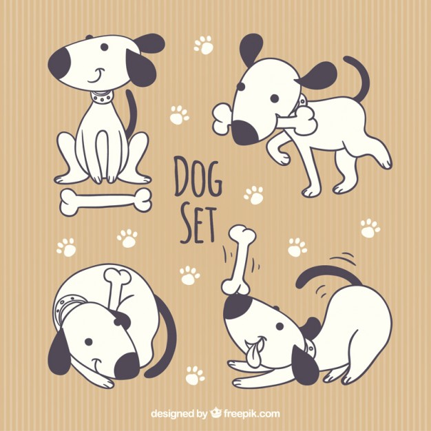 626x626 Dog Vectors Free Vector Graphics Everypixel