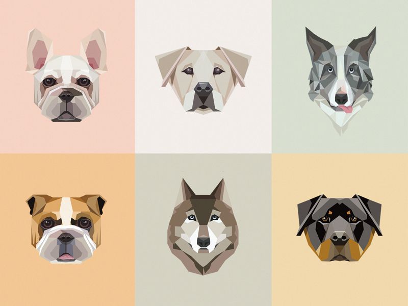 800x600 Geometric Dogs Collection Illustration In Dog Vector, Dog