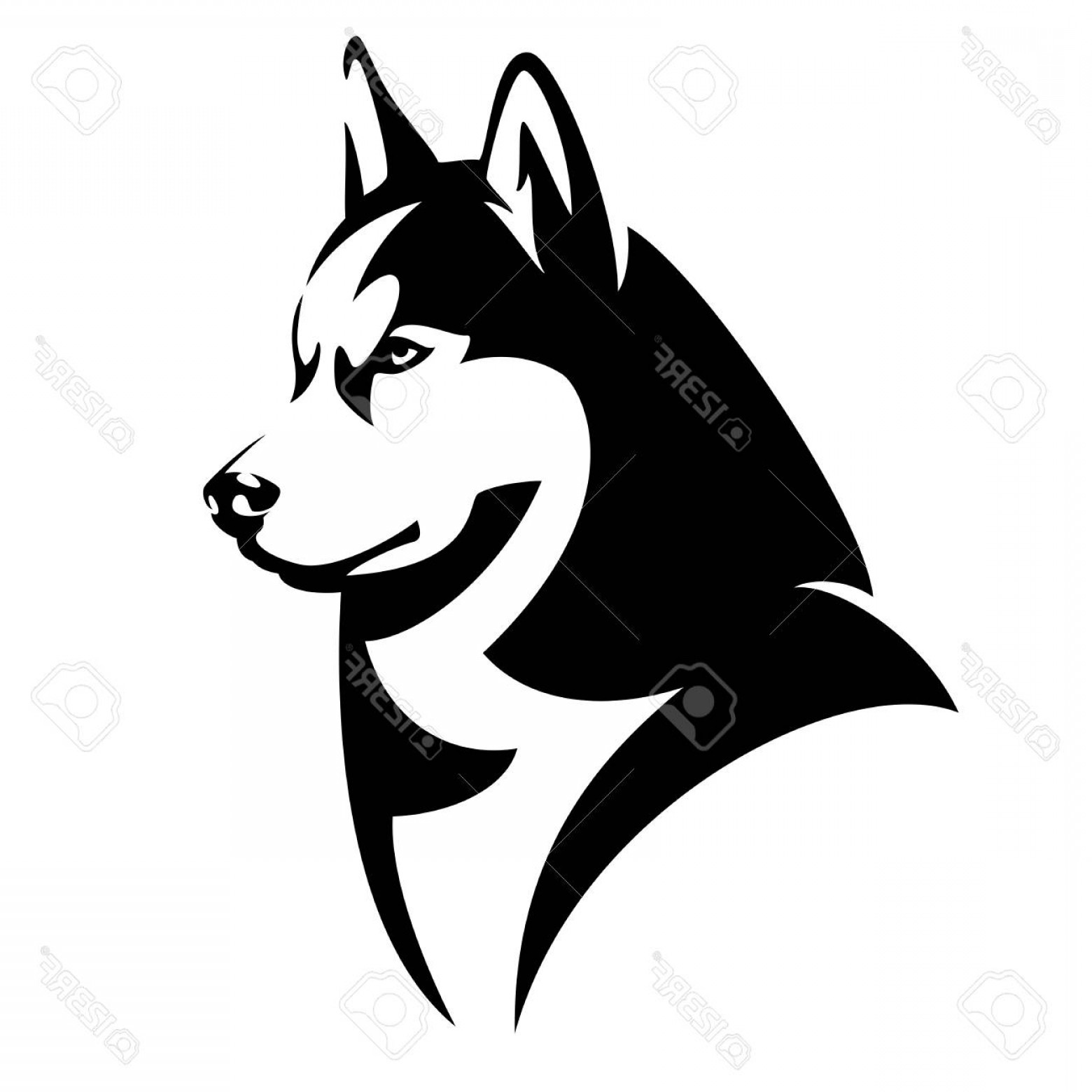 1560x1560 Husky Vector Art Cultracing
