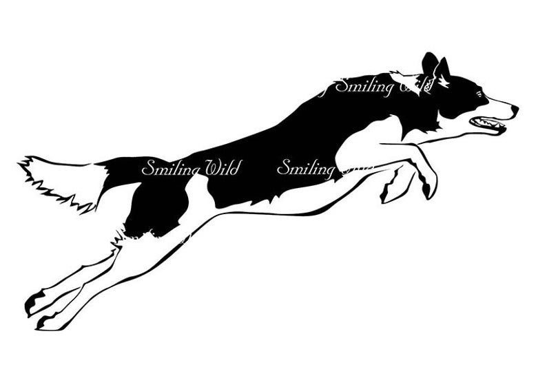 794x562 Running Dog Vector Graphic Art Border Collie Clipart Etsy