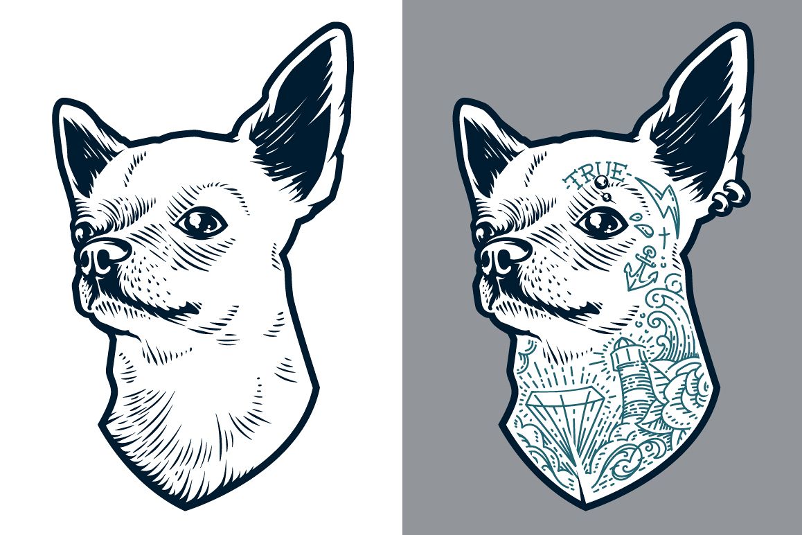 1158x772 Tattooed Chihuahua Vector Art