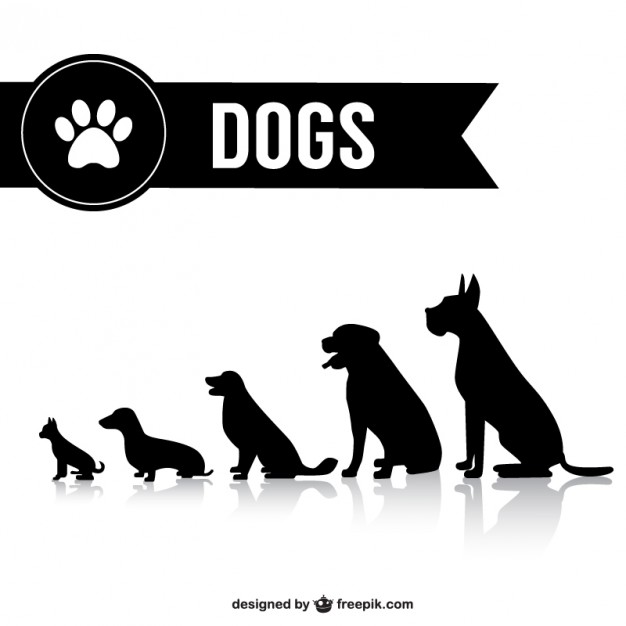 626x626 Dog Vector Icon